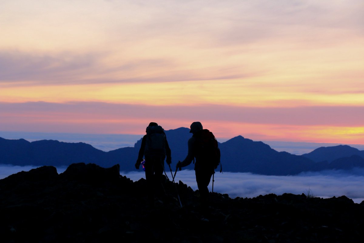 Wilderness Tourism Association tweet media