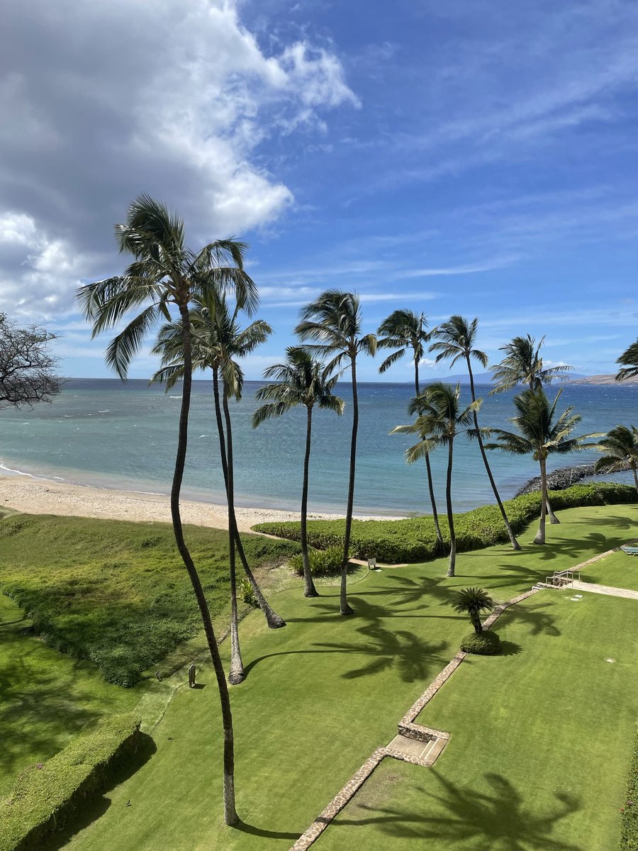 Q4CONQUER's tweet photo. @SouthwestAir Maui https://t.co/UIXPBO52Ym