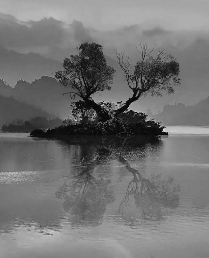 clicks1222's tweet photo. Photographers show me your b&amp;w pic

Do you have a picture of a reflection or symmetry? If so, let me see it.

I’ll retweet the best ones!

I’ll start ... https://t.co/vKjBE3lh5n