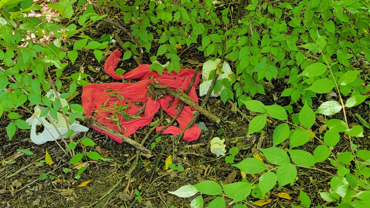 Mrs. Calkins tweet media