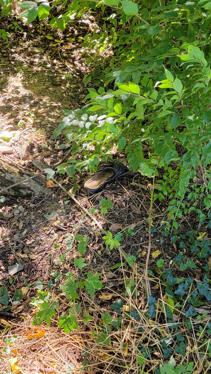 Mrs. Calkins tweet media