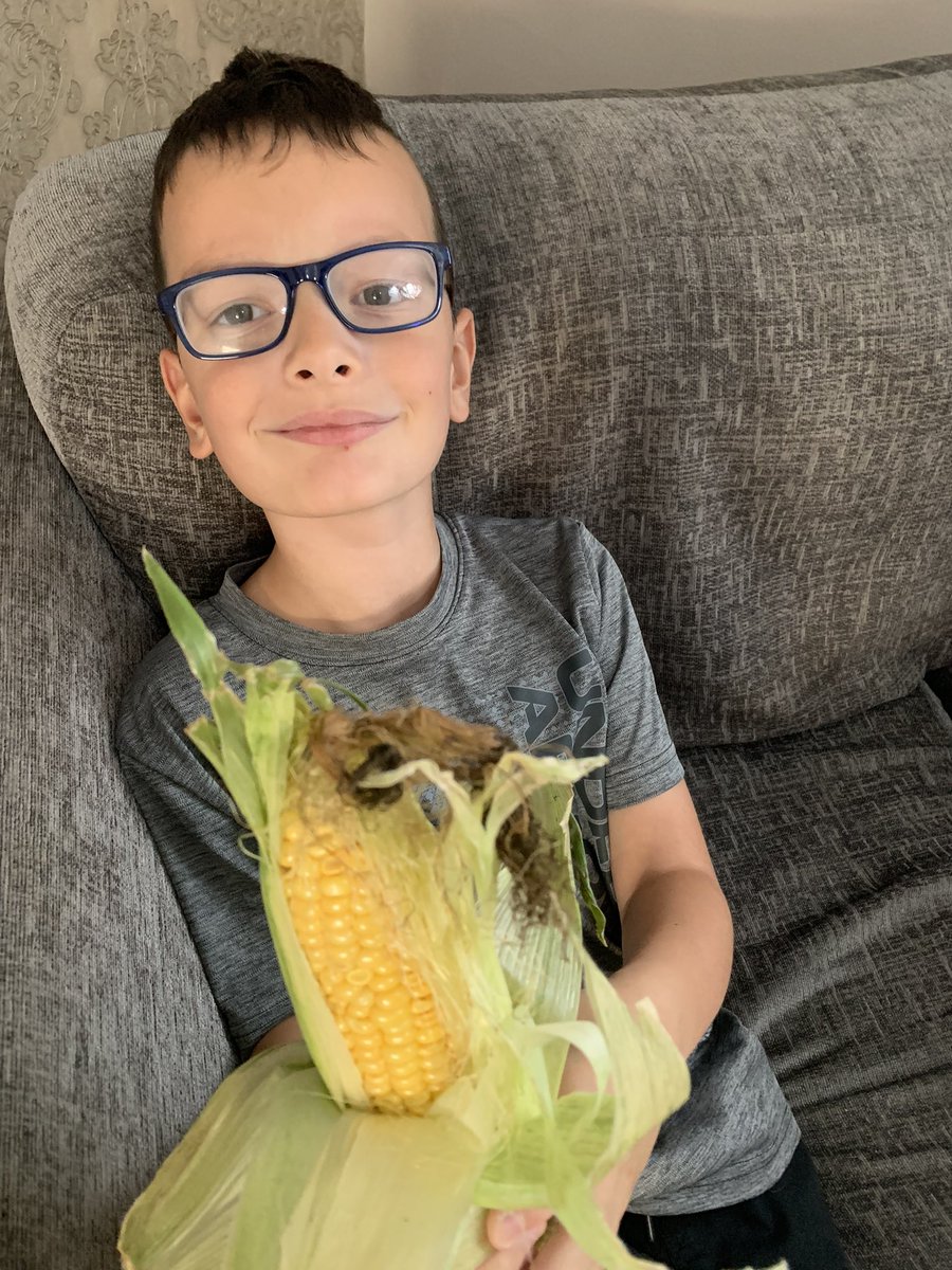 So happy with TP tonight! Since last year having Covid he’s been off most meat &amp; veggies, he’s been the fish finger king 🙈 &amp; it’s been hard trying new food! Tonight he wanted a big bowl of carrots &amp; this home grown corn for tea! He ate the lot! <a href="/Class34M_WS/">Class 3/4M</a>