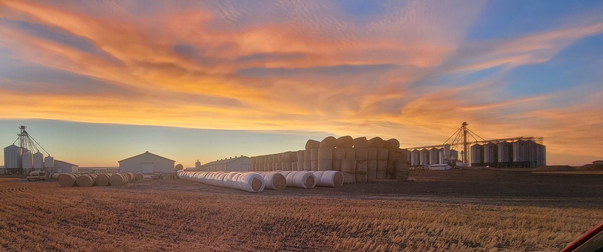 My favorite picture of this year's wrapping season.