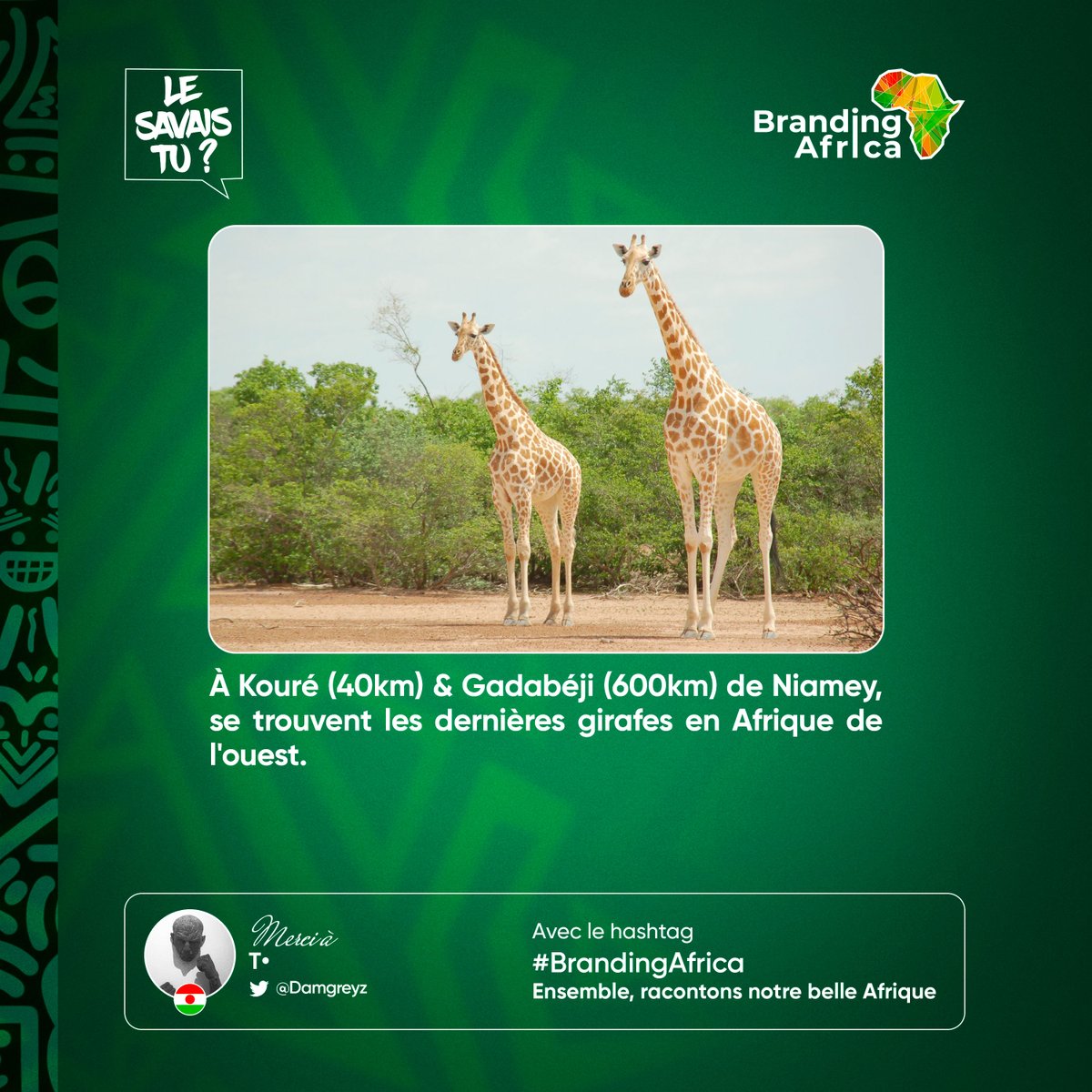 mrBignon💥 tweet media