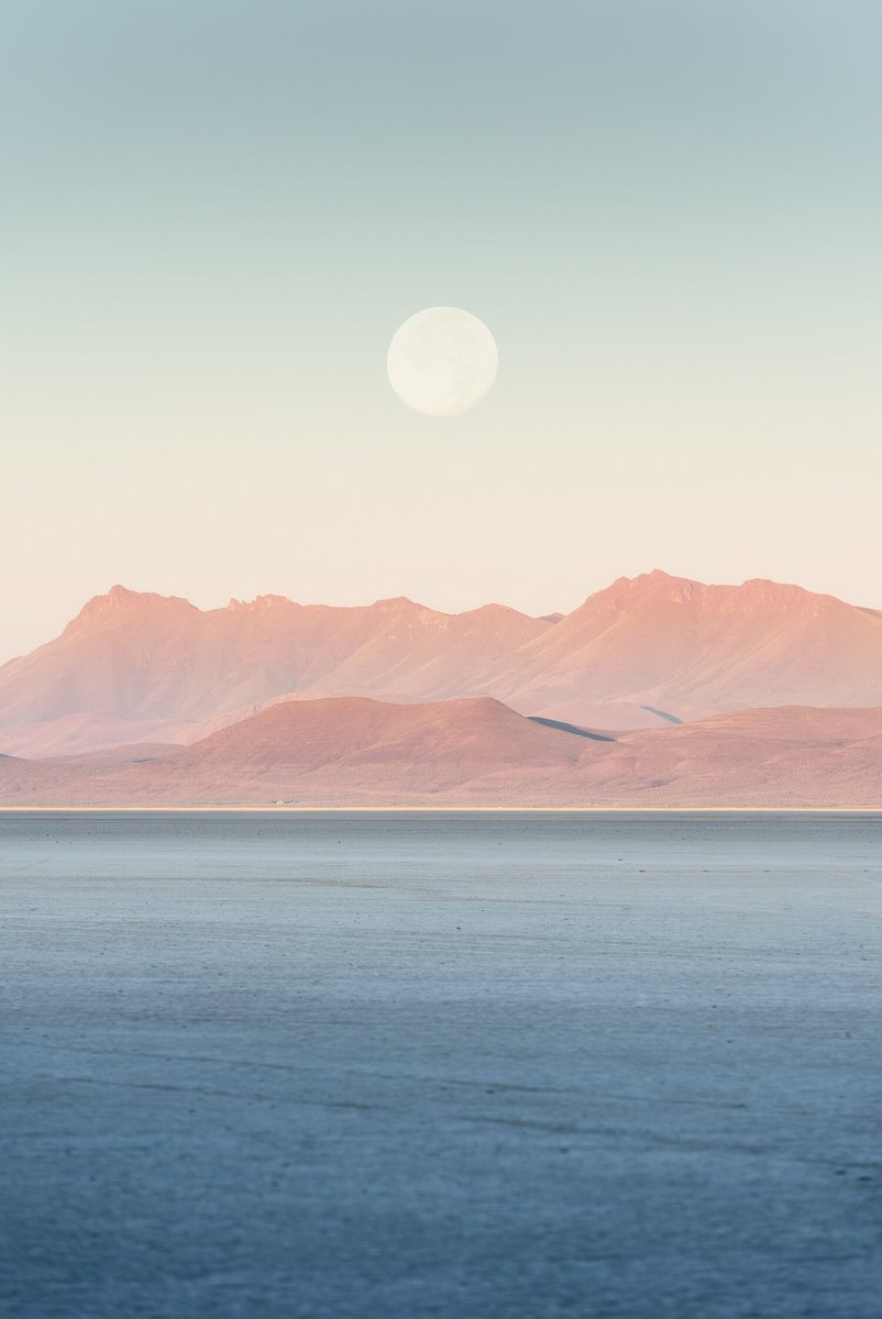 jerad armijo tweet media