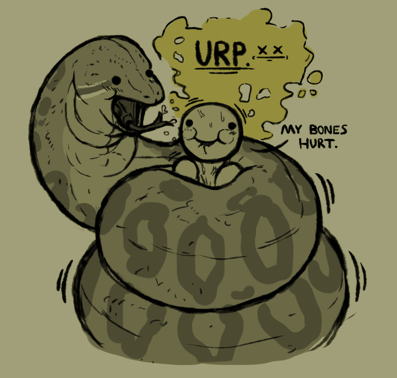 PardusLiberty's tweet photo. snek giving their food some lovin' uwu https://t.co/mkuqbJWzjO