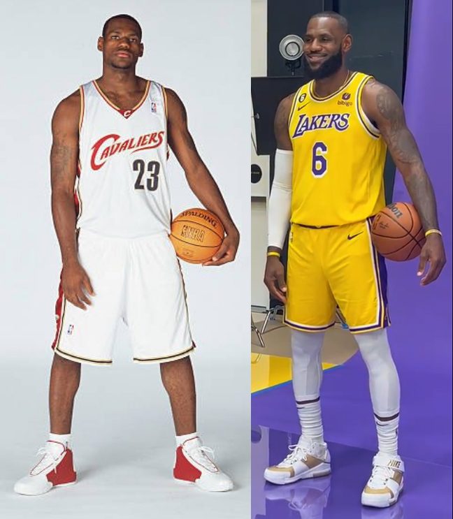 Year 1 | Year 20 👑