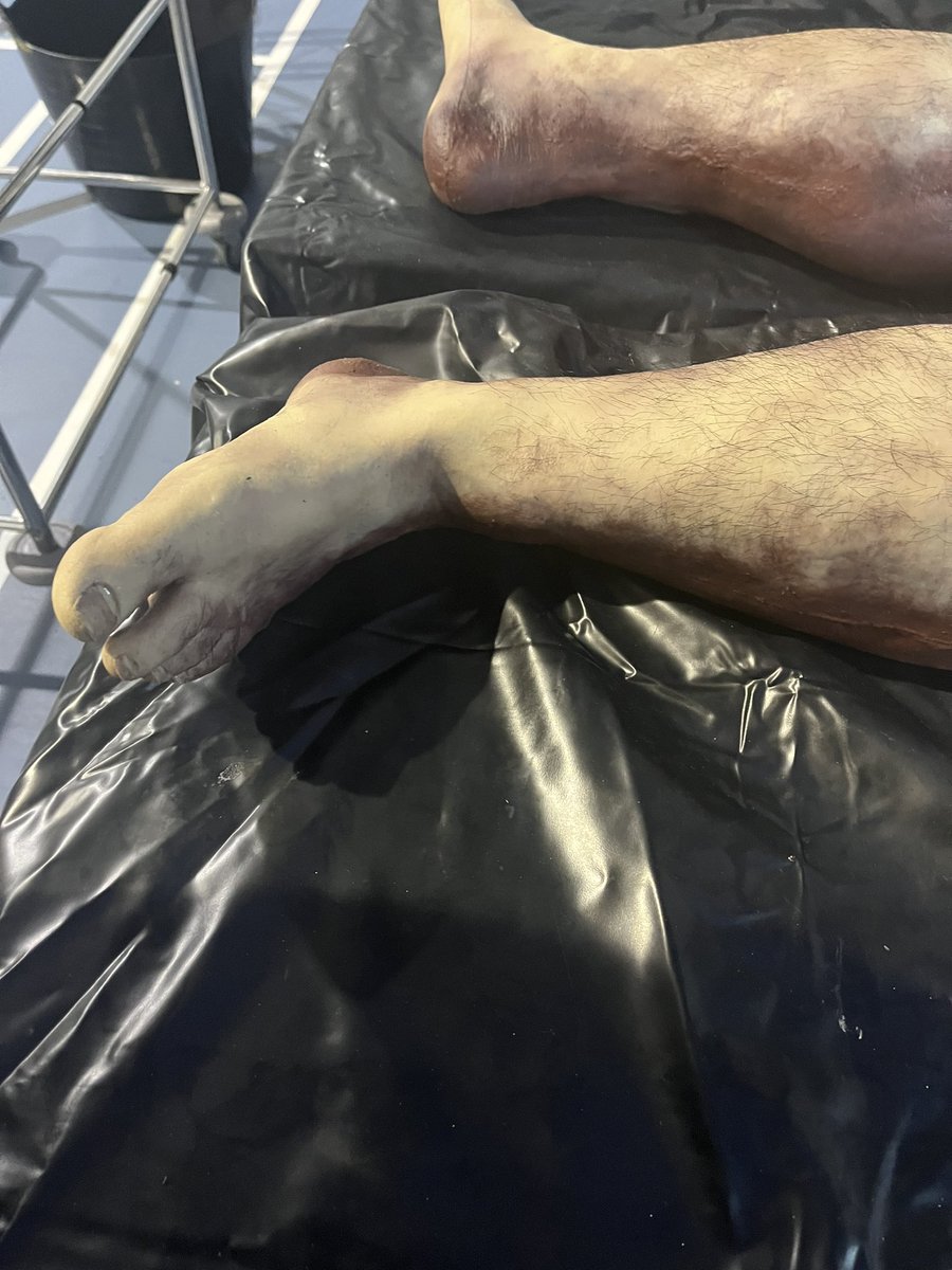 mrscarrscience's tweet photo. CPD with Mrs Steele at Post Mortem Live 👀🧠🫁🫀🔪📖@MHS_Sci https://t.co/6Q5Dp7sC8q