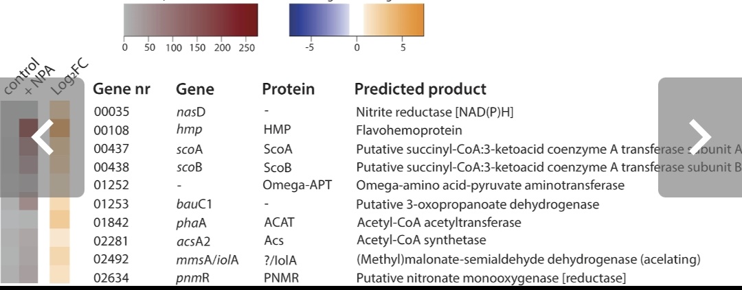 msmjetten's tweet photo. Congratulations to @MagdaRogowska et al. Insect Gut Isolate Pseudomonas sp. Strain Nvir Degrades the Toxic Plant Metabolite #Nitropropionic Acid. Collaboration #microbiology @RIBESresearch @Robert_S_Jansen @CUWelte with organic chemistry @FlorisRutjes
https://t.co/fI9MyWhwo6 https://t.co/lcgHjk78bq