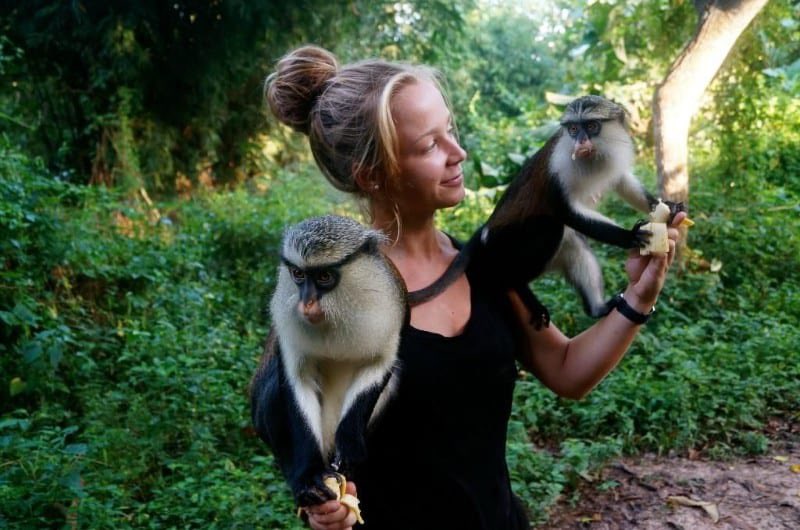 bra_louis's tweet photo. Interacting with wildlife at Tafi Atome Monkey Sanctuary and Cultural Village is such a beautiful experience at Destination Ghana. The time to visit and discover Ghana is now!
#VisitGhana2022 https://t.co/I9d4kykSIa