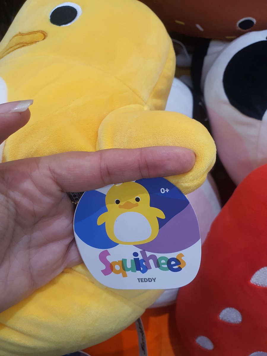 LogansMummyMeg's tweet photo. @AldiUK Ok this is bugging me like you won't believe and I don't understand! The squishmallow type stuffies in Aldi are Hettie Hedgehog, Colin cow, Donald donut, Stuart Strawberry, Penelope Pizza, Camila Cupcake etc ok? 

Why the hell is the duck called TEDDY???? https://t.co/87SEltOaLF