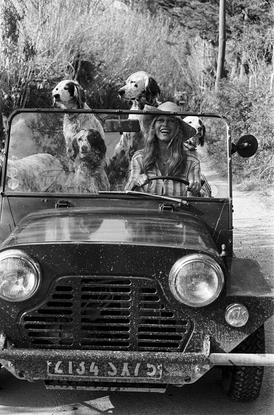 Trailofthebear's tweet photo. Brigitte Bardot was not my era but she is definitely my people. ❤
#animallover
#Blonde
#dogs
#jeeps
#livedlife https://t.co/5VTvHwnZgd