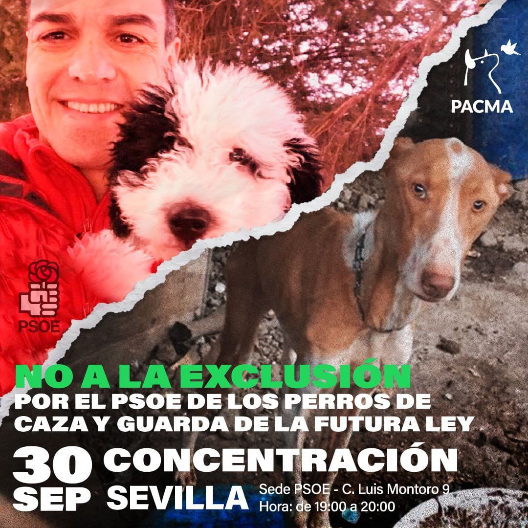 castro_montoro's tweet photo. Seguimos.... https://t.co/T6DfKSj1Fn