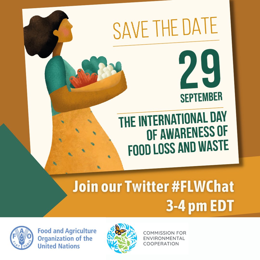 FAO in North America tweet media