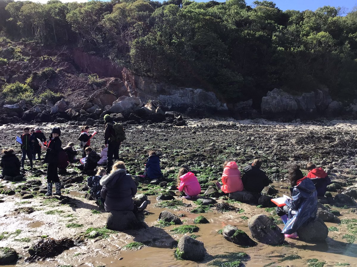 BGrovePrimary's tweet photo. A great day learning about the impact of coastal erosion, sand dune erosion and investigating ways to prevent tidal waves from damaging our homes at Oxwich today.
Thank you @GowerSociety @DawnNaturedays #gowersocietyfunding #naturedays https://t.co/aAp463uzSA