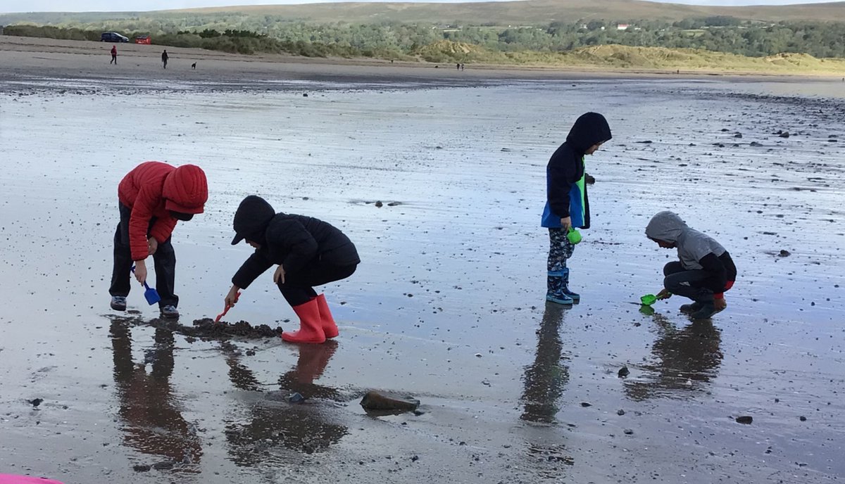 BGrovePrimary's tweet photo. A great day learning about the impact of coastal erosion, sand dune erosion and investigating ways to prevent tidal waves from damaging our homes at Oxwich today.
Thank you @GowerSociety @DawnNaturedays #gowersocietyfunding #naturedays https://t.co/aAp463uzSA