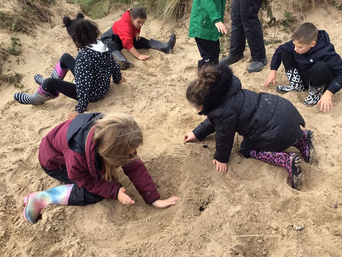 BGrovePrimary's tweet photo. A great day learning about the impact of coastal erosion, sand dune erosion and investigating ways to prevent tidal waves from damaging our homes at Oxwich today.
Thank you @GowerSociety @DawnNaturedays #gowersocietyfunding #naturedays https://t.co/aAp463uzSA