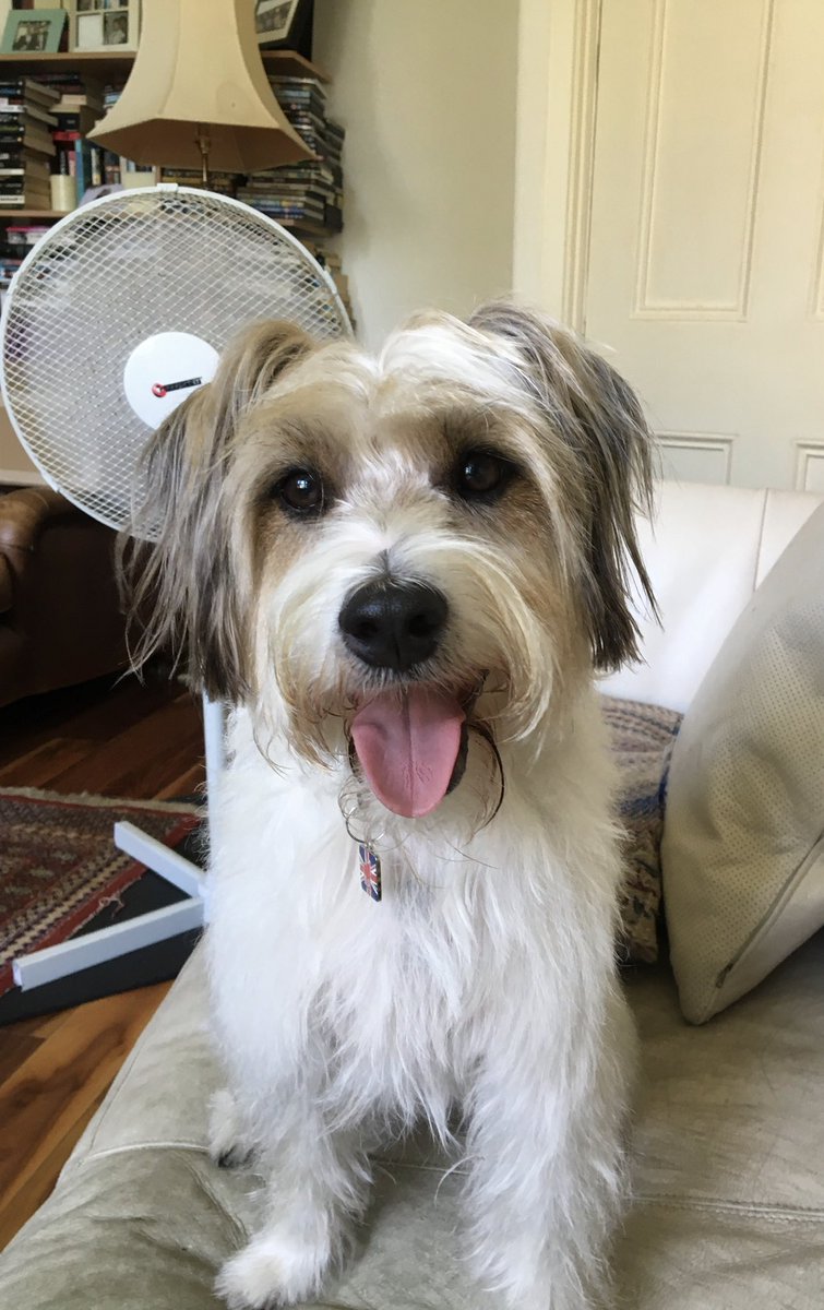 James Dreyfus tweet media