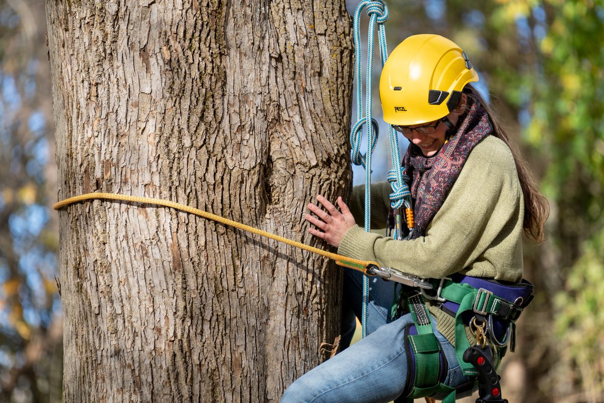 It's National Lumberjack Day! Hats off to members of our Woods Sports Team and all of our graduates who have proudly gone on to work in the forestry and logging industry. We appreciate your dedication! #nationallumberjackday #woodssports #forestry #arboriculture