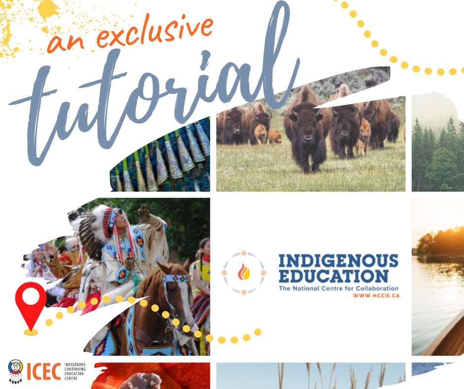 FNUNIVCAN's tweet photo. 🧡Let's start Truth and Reconciliation week in a good way; register below for a FREE exclusive tutorial to the National Centre for Collaboration in Indigenous Education (@NCCIE) website

To register:
https://t.co/Hb5i0yHwha https://t.co/wWGyunD3ar