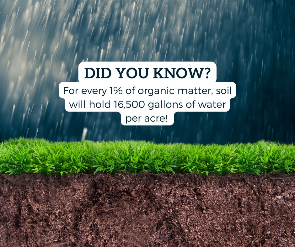 CustomAgIntel's tweet photo. Organic matter (beneficial organisms, decomposing (active) organic matter, and stable organic matter (humus)) are instrumental in maintaining soil health. 

How healthy is your soil?

#soilhealthmatters #saskag #canadaag #organicmatter #customagintel https://t.co/DKO5XP5ect
