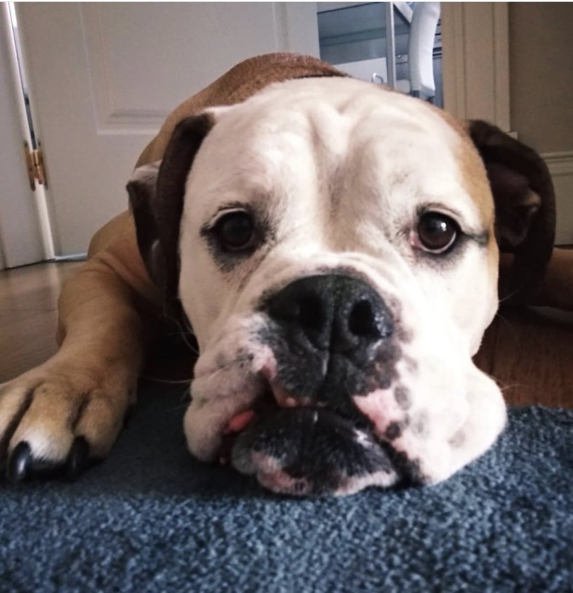 Valeria Ros tweet media