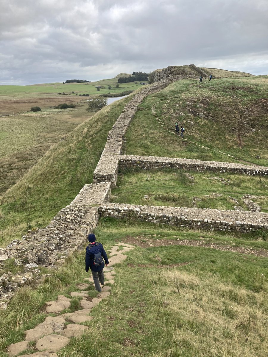 Alun F Williams tweet media