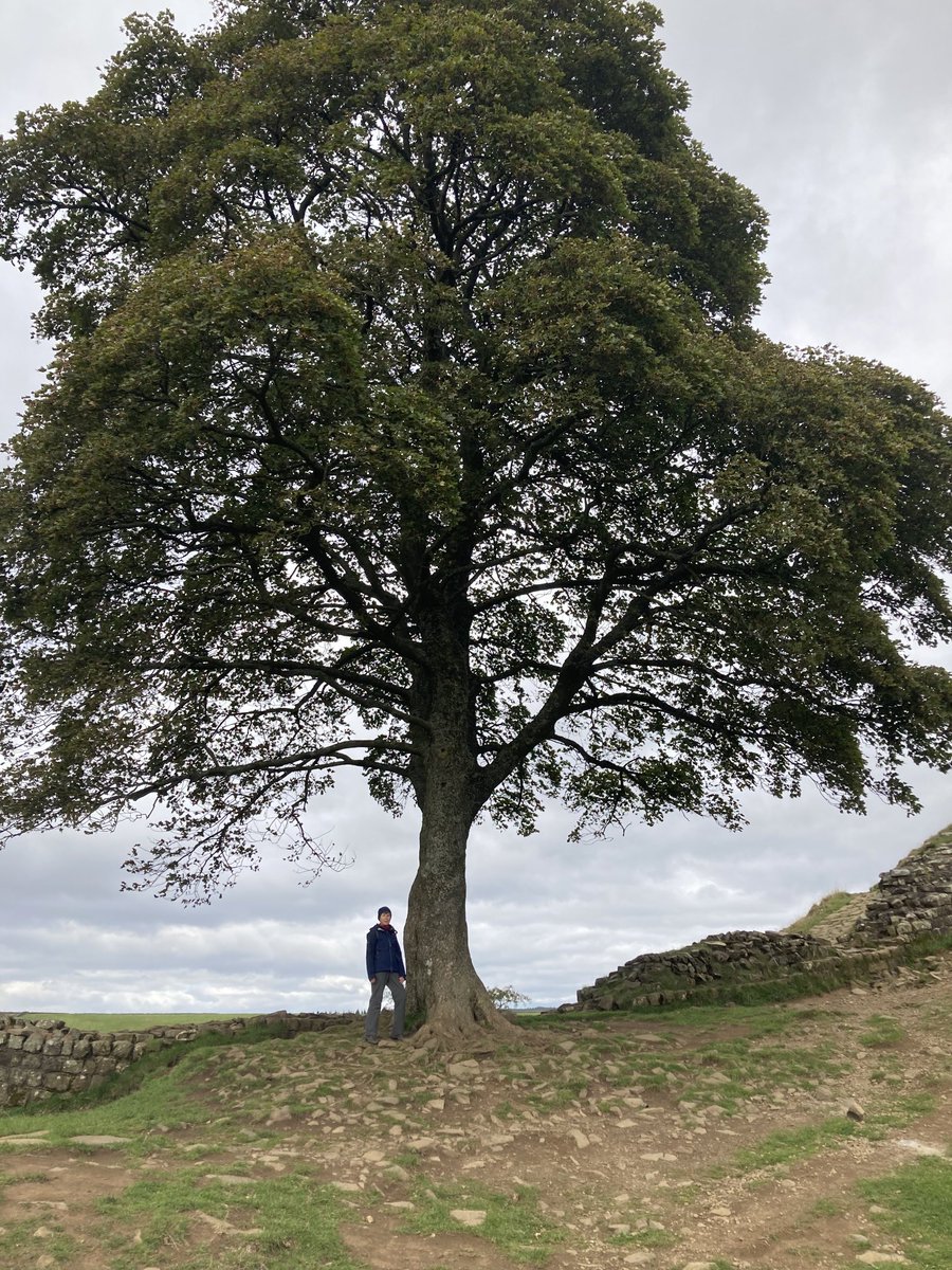 Alun F Williams tweet media