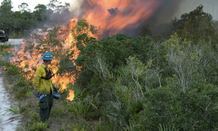 Join us Thursday - 11AM to noon for a special event: “Live From the Field: Fire Across the Continent.” These events connect researchers and habitats across the country in one virtual space, for use in college classrooms - also open to the public. Register buff.ly/3LIyi7w