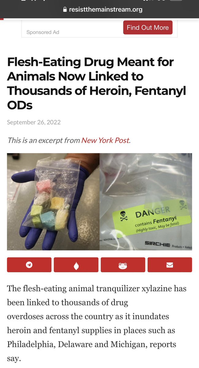 Freedom __𝓢𝓱𝓪𝓮__ tweet media
