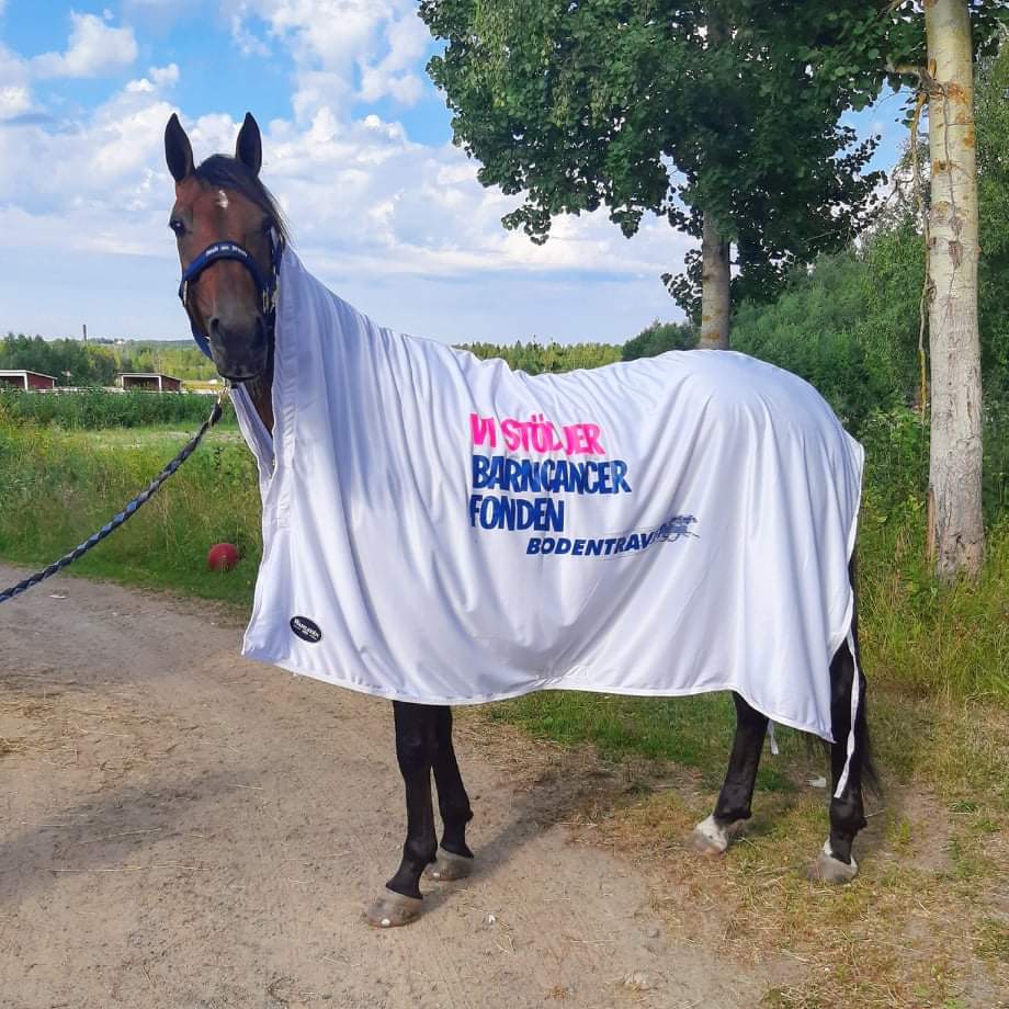 Förra året skänkte vi 6 tusen till <a href="/barncancerfond/">Barncancerfonden</a> (10% av första priset) när vi vann barncancerfondens lopp. I år kör vi samma grej på lördag. Skänker 10% av #LeaveYourSox  insprungna pengar i #v75 -5. Kan som mest bli 12 500 kr och minst 250 kr. #fuckcancer #travsport