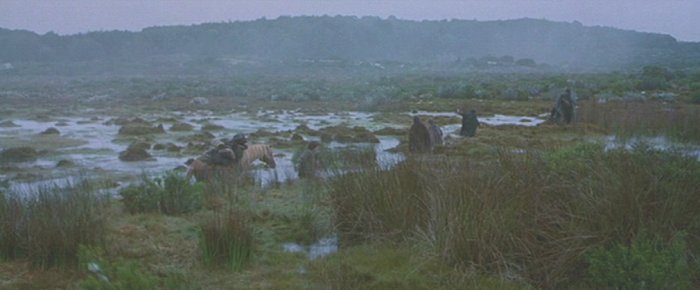 Aragorn and the Hobbits enter the Midgewater Marshes.