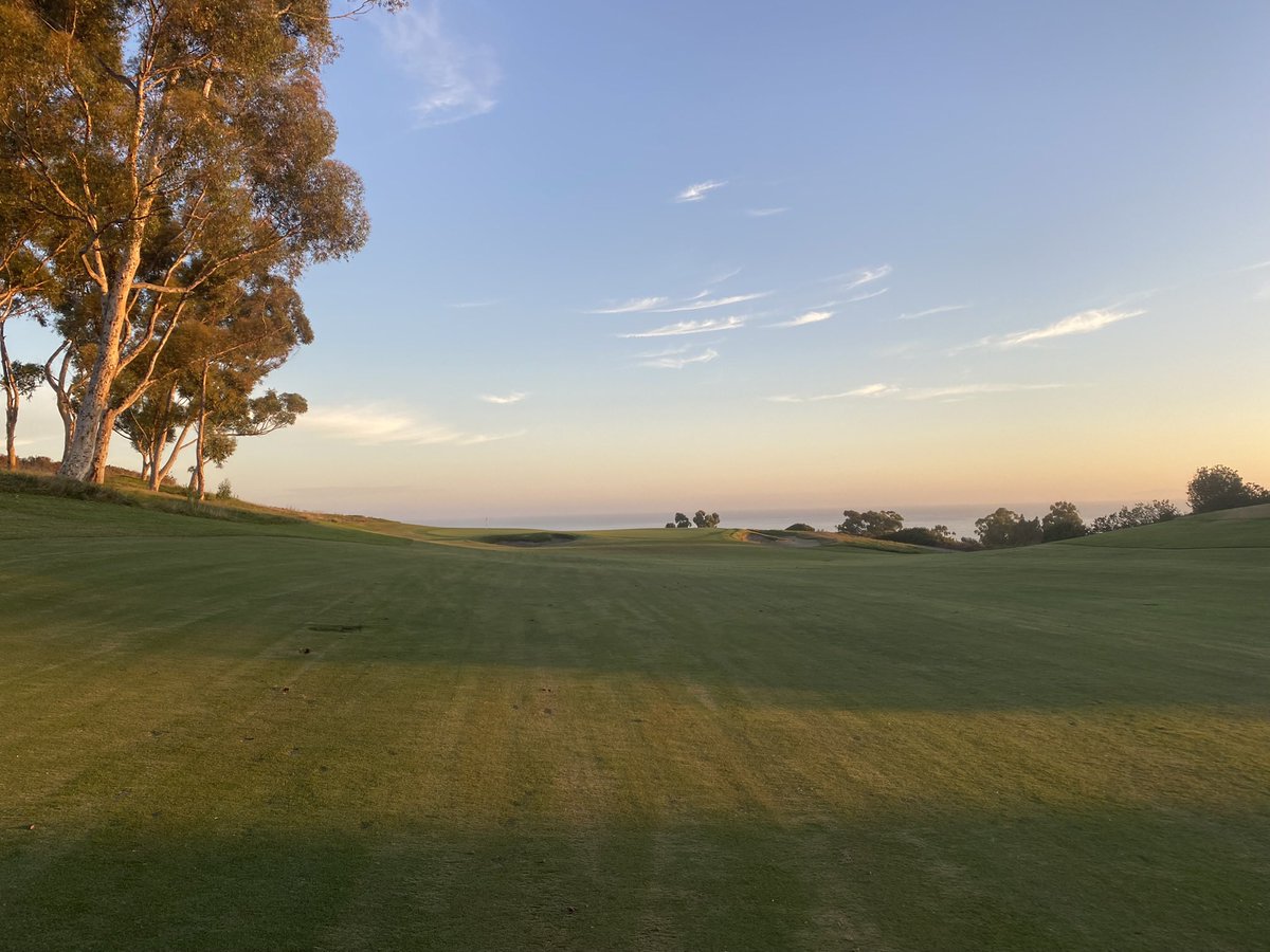 Logan Baumann tweet media