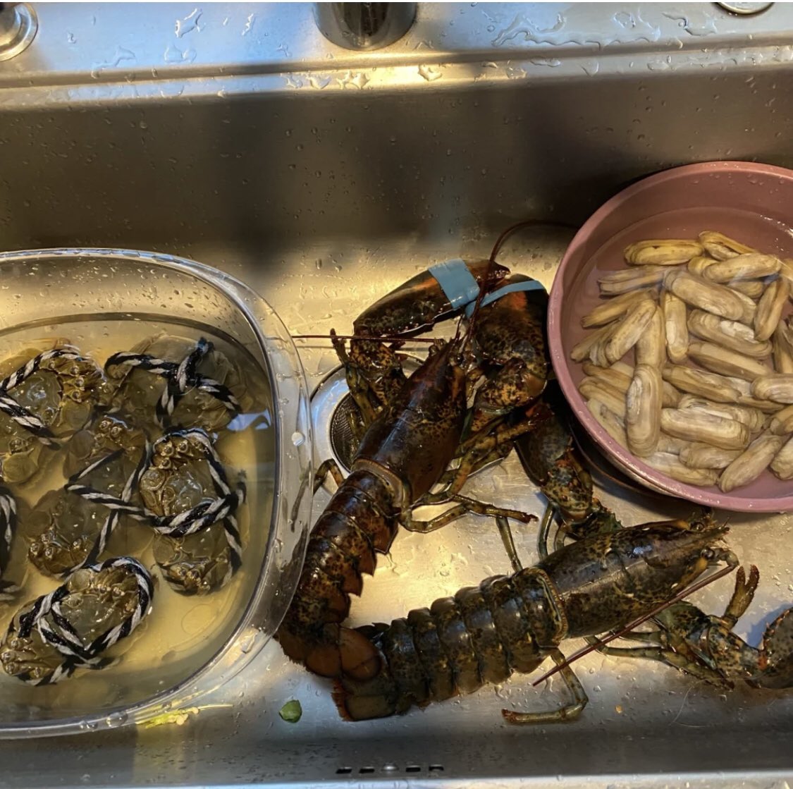 maelsahn's tweet photo. Eat seafood today https://t.co/D0c7ZaeEg9