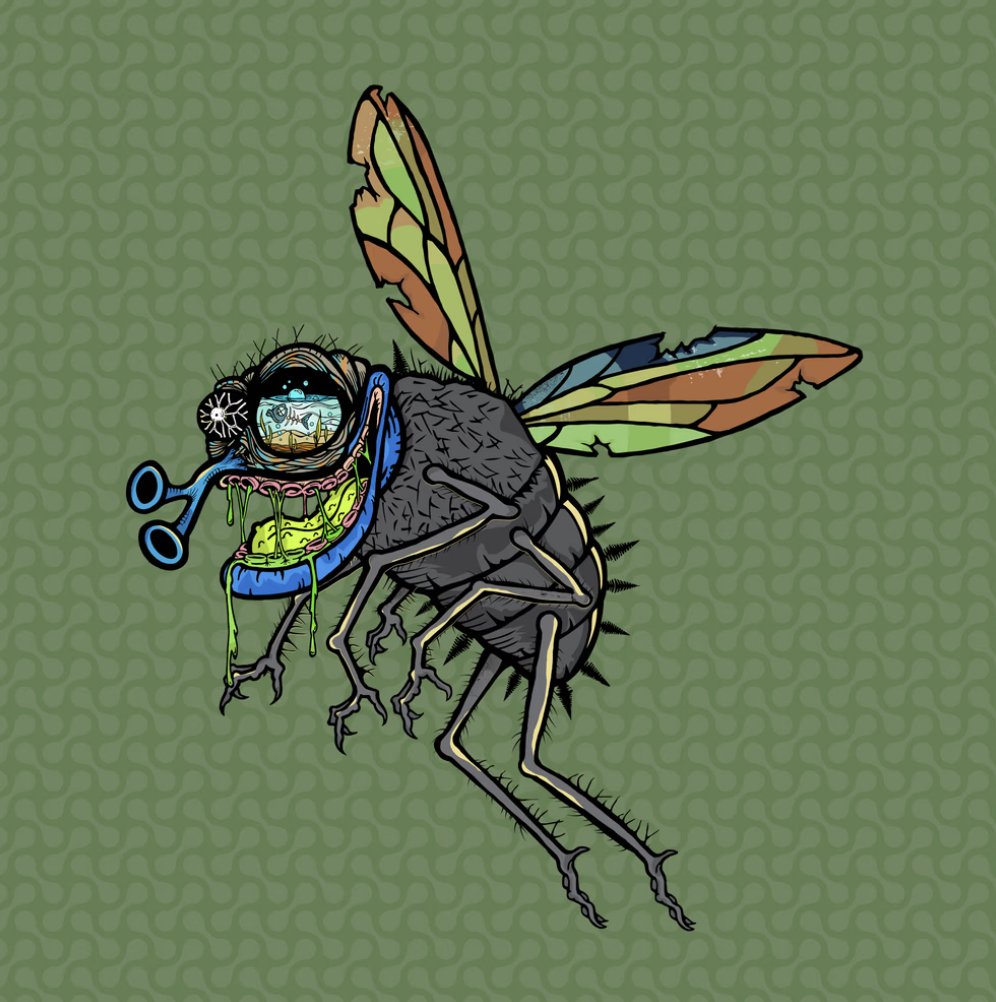 Funky Flies tweet media