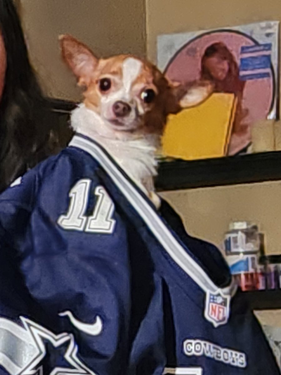 WokeJBass's tweet photo. My dog Dak @dak wearing his Parsosn's jersey @MicahhParsons11 https://t.co/f6BorJjeoU