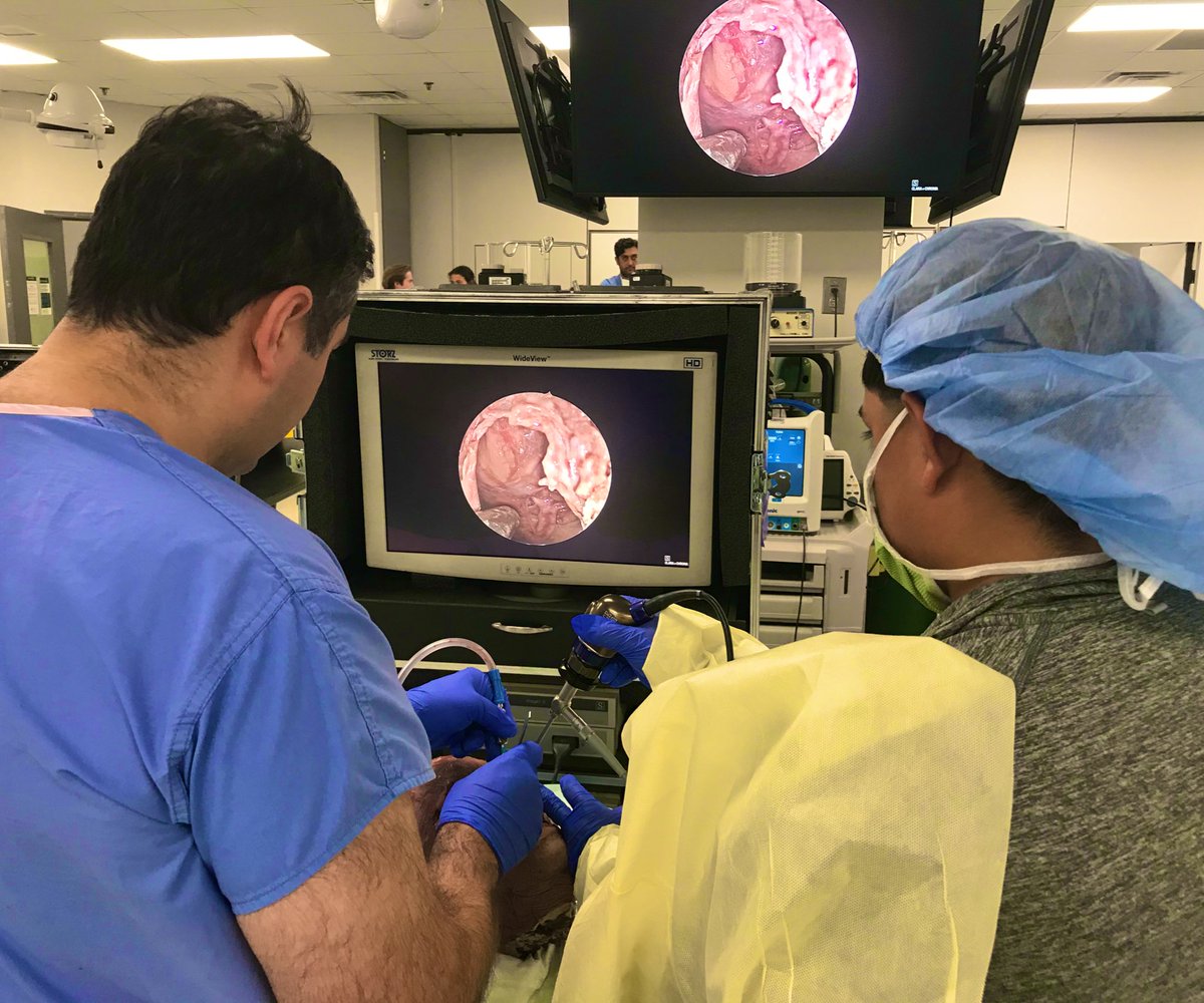 This week’s conference focused on #endoscopic endonasal pituitary approaches! Thank you to <a href="/SanjeetR/">Sanjeet Rangarajan</a> and <a href="/uthscent/">UTHSCENT</a> residents for sharing your experience!