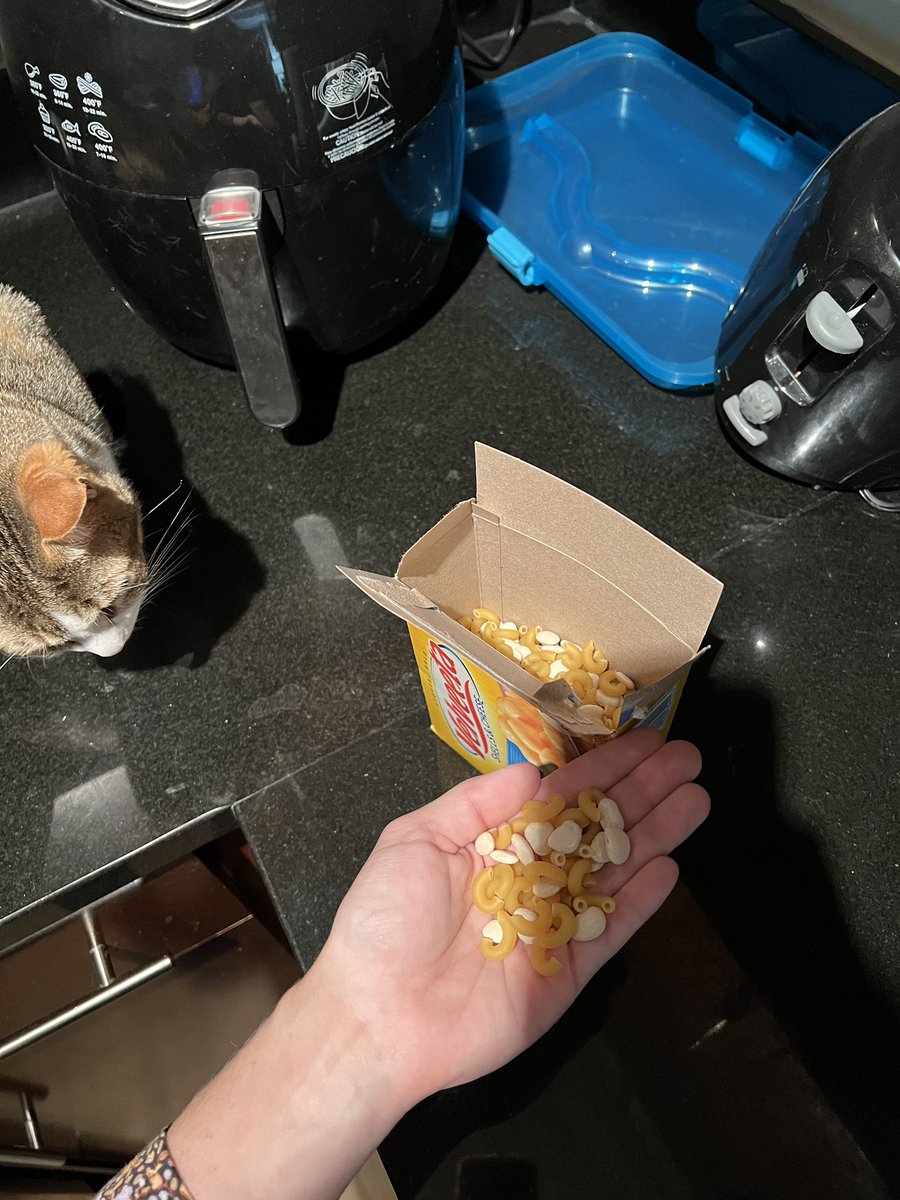 DamselInDisJESS's tweet photo. @CheesyVelveeta I got a box of Mac and bean instead of Mac and cheese, you good? https://t.co/I7N8raOUnz