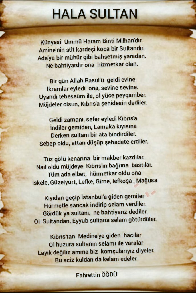 Halasultan hazretleri, Kıbrıs Türk'ü için çok önemlidir. O'na ayrı bir sevgi gösterilir. 
Özellikle 50 yaş üzeri olanlar, çocukken Halasultan tekkesine yaptıkları ziyaretleri,  tekke bahçesinde geçirdikleri zamanları ve anne babalarının yaptığı ibadetleri anlatır dururlar.....