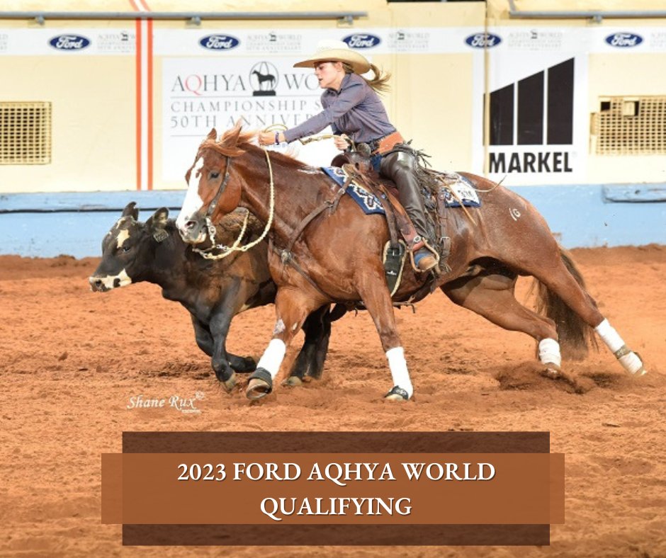 AQHA's tweet photo. Qualifying points have been announced for the 2023 Ford
#AQHYA World Championship Show. โก๏ธ https://t.co/Rm0TuUArw7
๐ธ Shane Rux Photography https://t.co/3eY63CAPwI