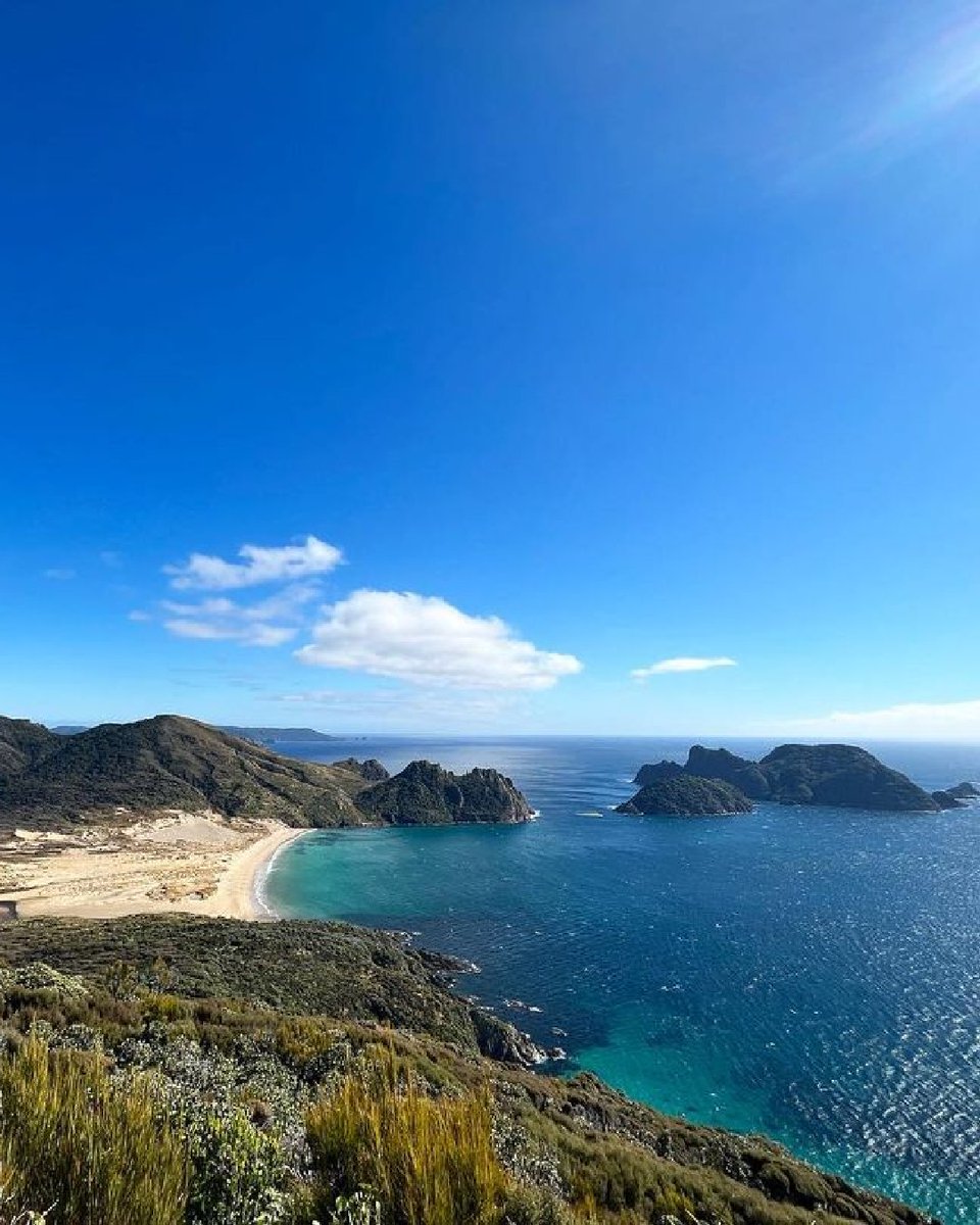 “I was surprised by how beautiful the beaches were in Rakiura – the clearest water I’ve ever seen, cold but not icy, no other people in sight. I swam at almost every beach we crossed – including this one.” 📸: IG rebekahwh’s #NZMustDo 📍 Stewart Island/Rakiura