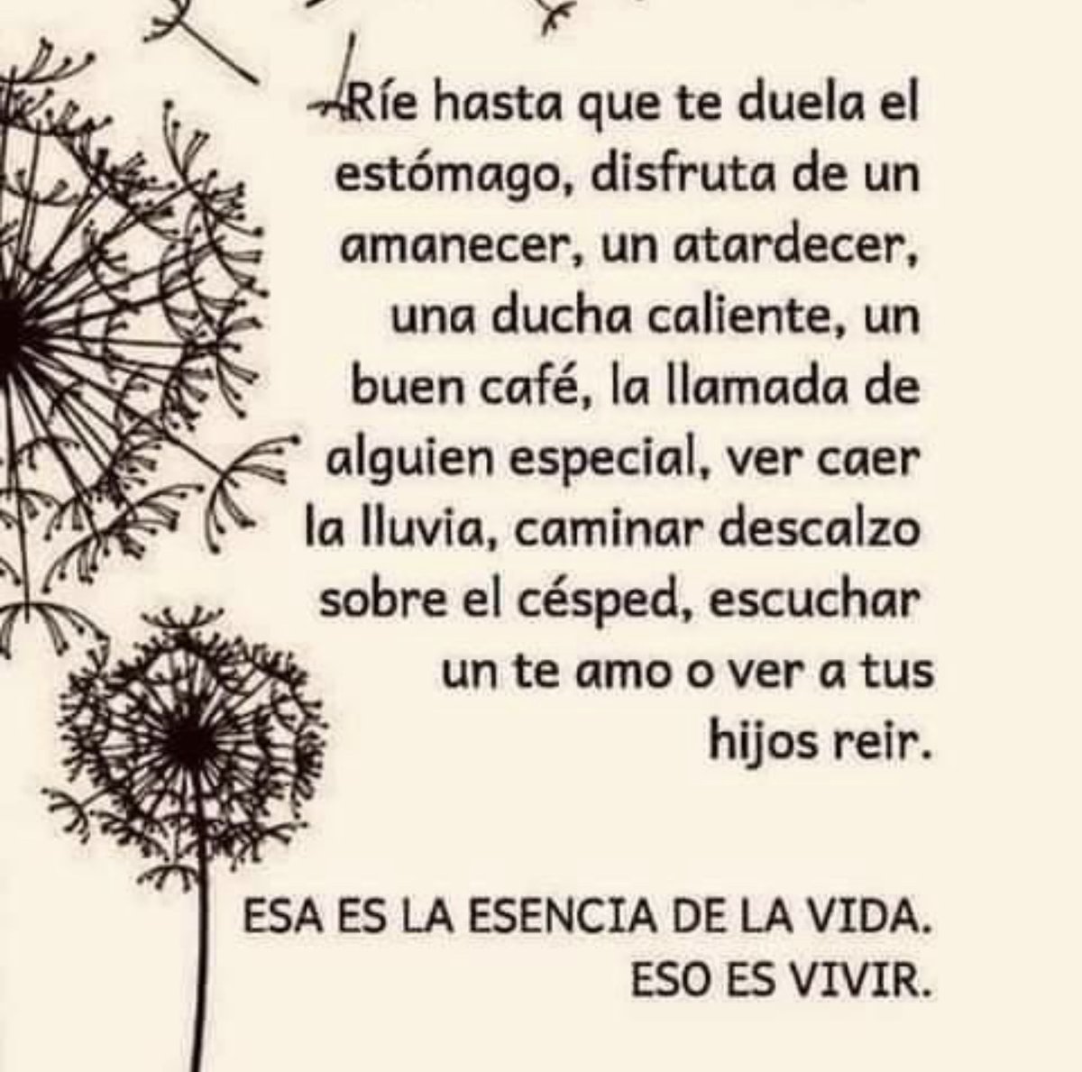 Paulo Coelho Español (@paulocoelhodice) on Twitter photo 