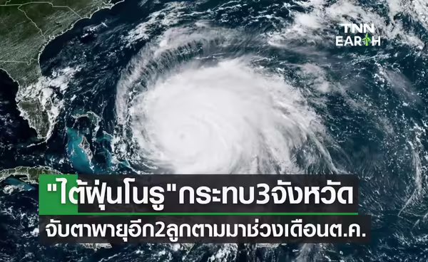 ลูกอีหน่อแตด tweet media