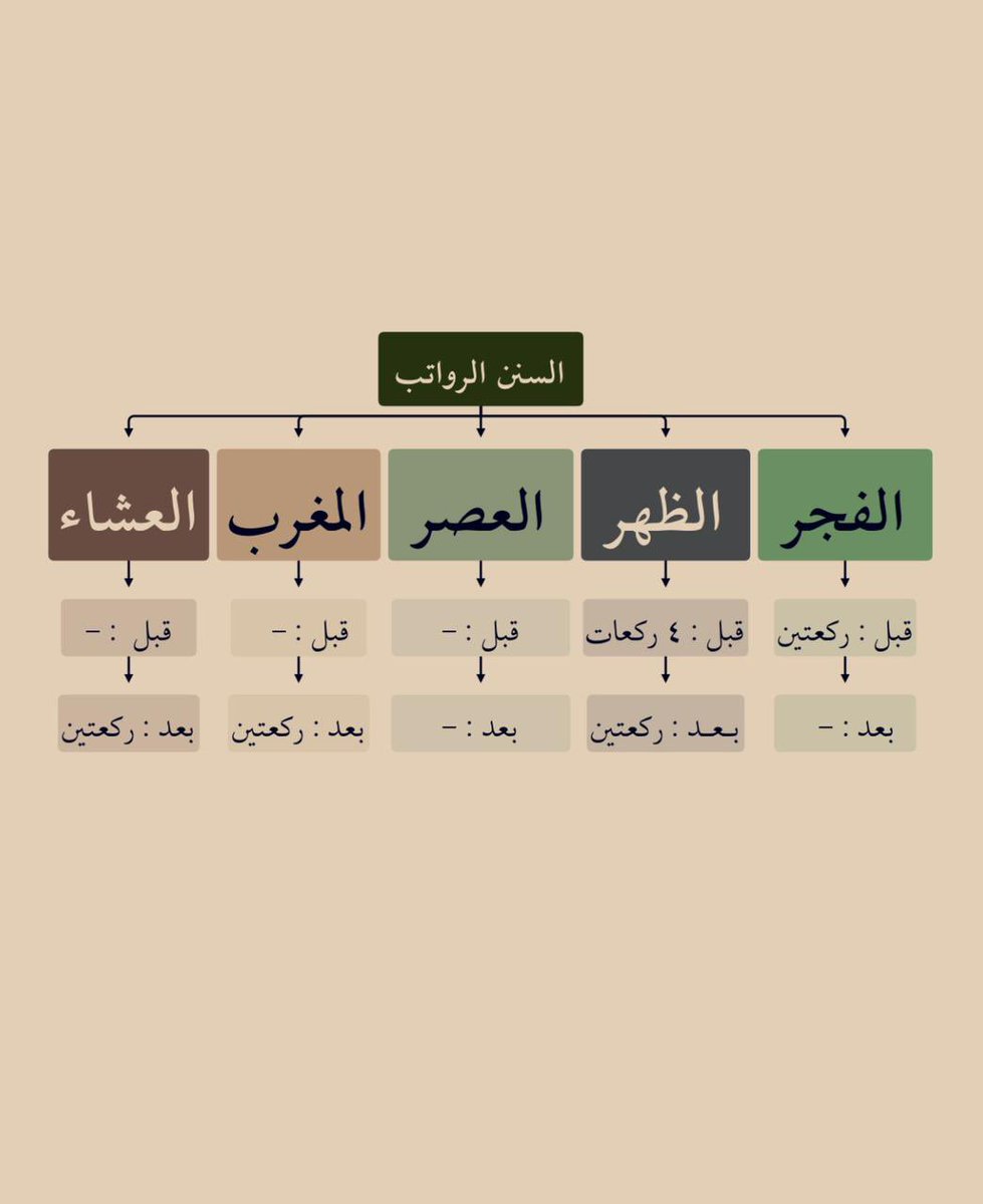 wa3ez_'s tweet photo. قال ﷺ: "مامن عبد مسلم يصلي لله كل يوم ثنتي عشرة ركعة تطوعًا، غير الفريضة، إلا بنى الله له بيتا في ا��جنة". https://t.co/23yzzhzsQ9