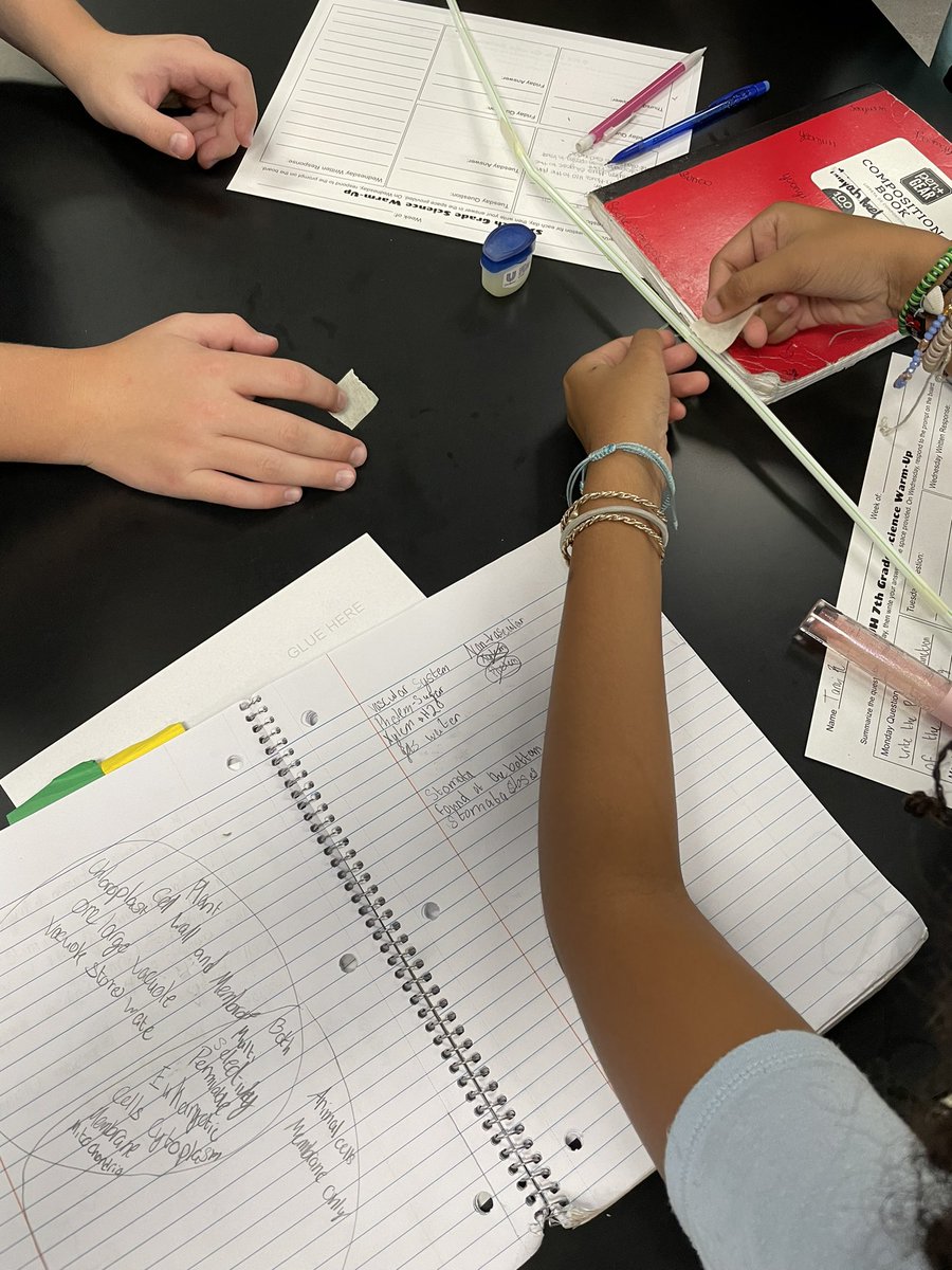 mazzola5961's tweet image. 7th grade science students used straws and tape to create a super straw. Upon discovery, students learned they made xylem models. @HallScience17 @SJHCats @marvelouskoonz #sjhbrightertogether #scientificmodels #xylemwatergoesup