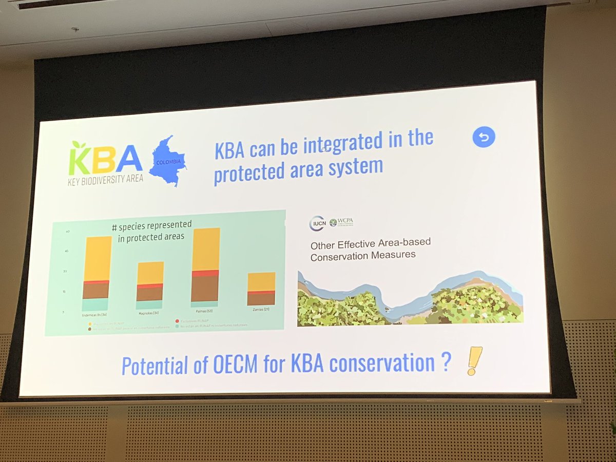 M_Gostel's tweet photo. Cristina Lopez-Gallego @UdeA discusses monumental task of #redlisting the #flora of mega-diverse Colombia

New tools, resources, &amp; partnerships support #conservation action plans &amp; identification of Key #Biodiversity Areas

 #7GBGC https://t.co/zYEs5axVM3