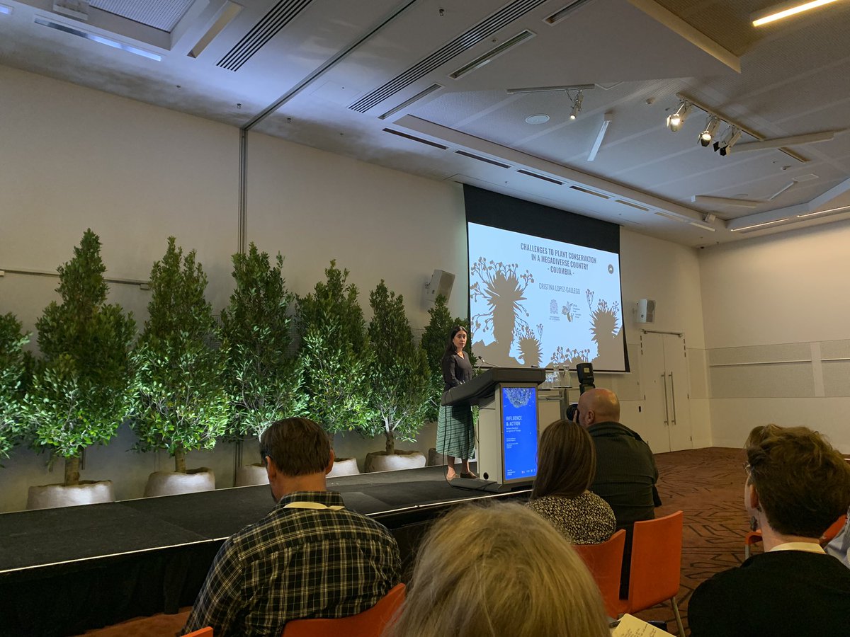 M_Gostel's tweet photo. Sobering Tuesday AM #conservation fact; @s_alvarezclare introducing 2nd Plenary Speaker #7GBGC, Cristina Lopez-Gallego @UdeA
~17,500 globally threatened spp of trees > ALL #threatened spp mammals, herps, & birds combinedπ°
@bgci https://t.co/m1tXKj0qHf⦠#GlobalTreeAssessment https://t.co/pf0UBYcbkz