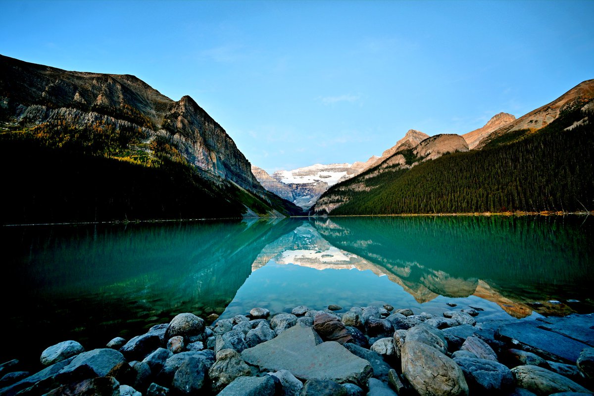 Dave Tonge tweet media