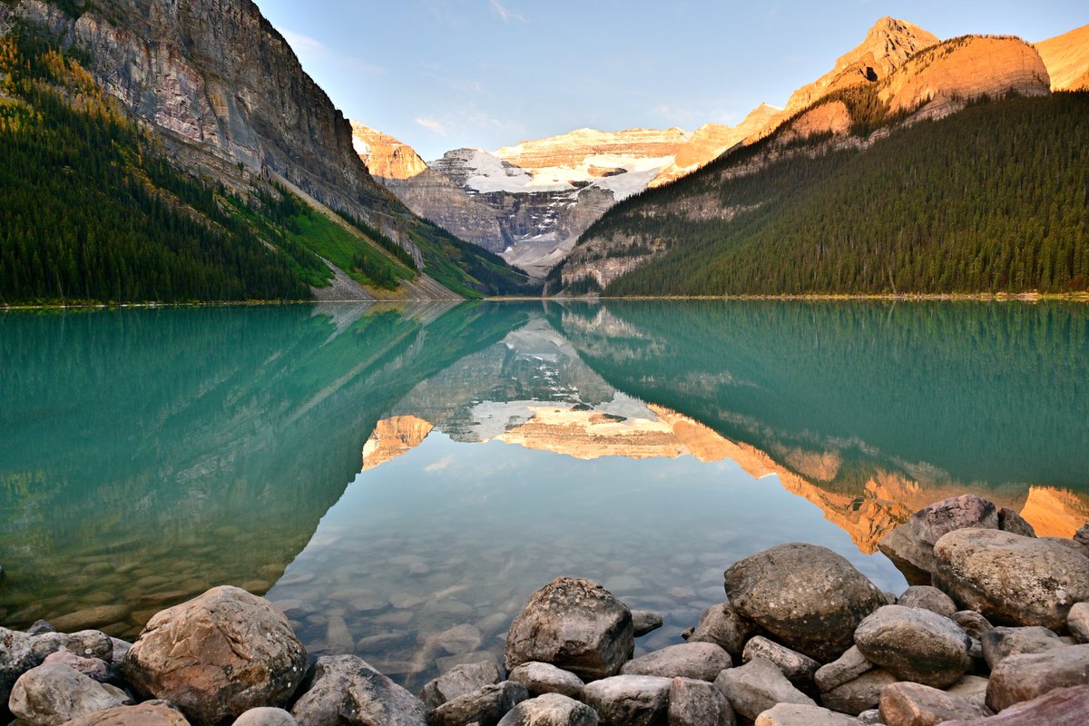 Dave Tonge tweet media