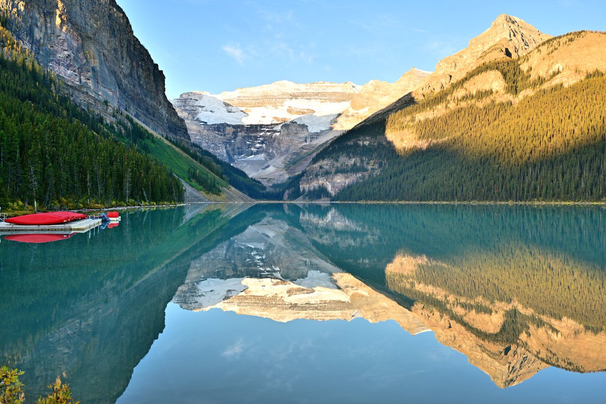 Dave Tonge tweet media